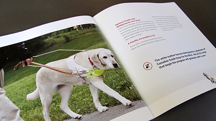 Our Work Canadian Guide Dogs for the Blind McGill Buckley